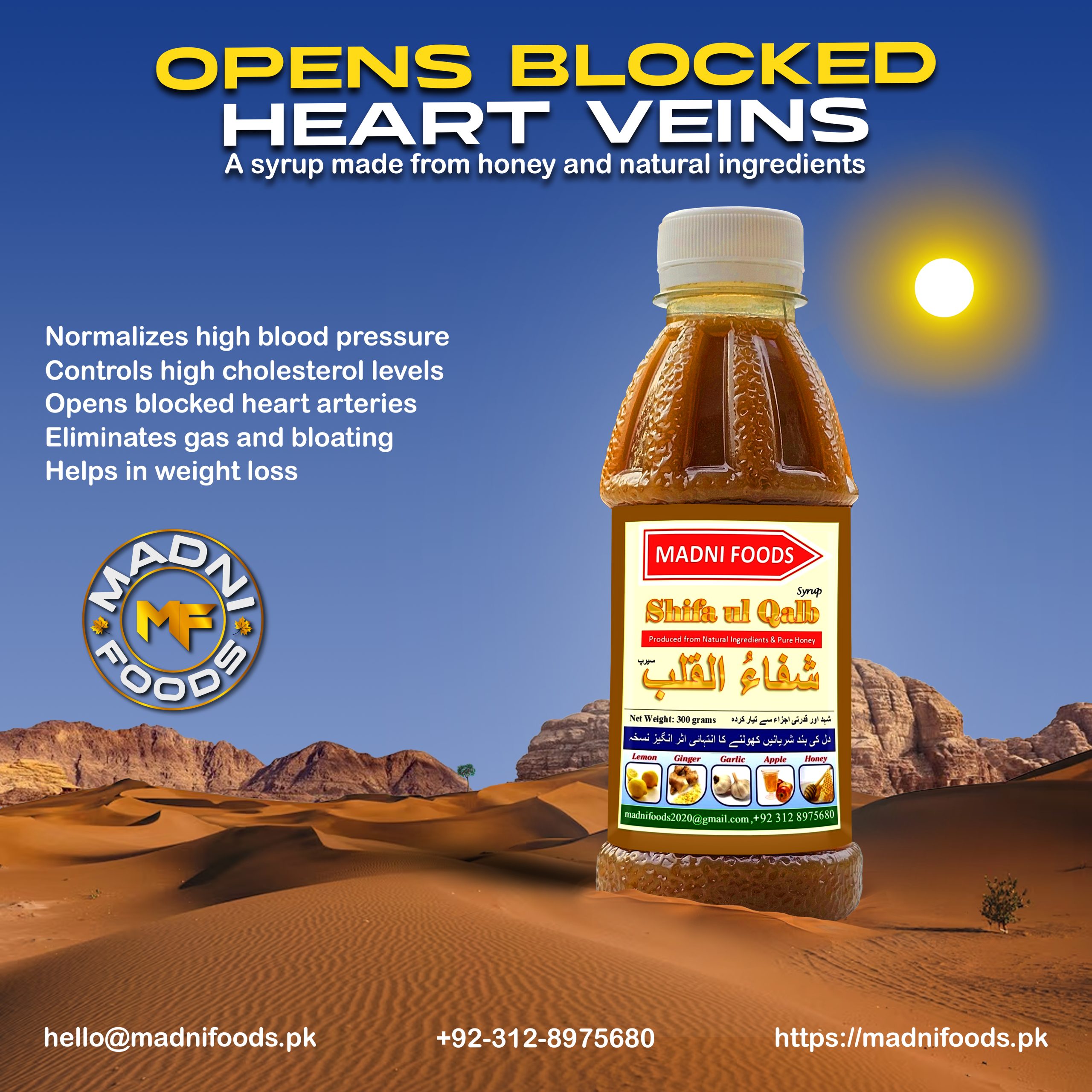 Madni-Foods-POSTER-12.1